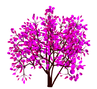 fleurs et nature (80).gif